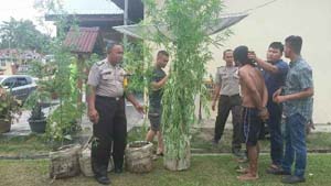 Pria di Desa Sigaruntang Ditangkap Polisi